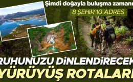 Vücuduna oğlunun kanını enjekte ettirmesi olay olmuştu, şimdilerde işi ticarete döktü: 24 saatte 2500 kişi… ‘Beni şu an yaşayanların değil 25’inci yüzyıldaki insanların ne düşüneceği ilgilendiriyor’