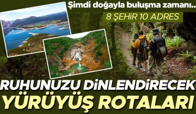 Vücuduna oğlunun kanını enjekte ettirmesi olay olmuştu, şimdilerde işi ticarete döktü: 24 saatte 2500 kişi… ‘Beni şu an yaşayanların değil 25’inci yüzyıldaki insanların ne düşüneceği ilgilendiriyor’