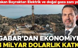 Bakan Bayraktar açıkladı: Doğal gaz ve elektriğe zam yok