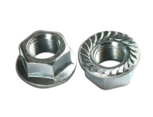 Toptan Somun Fiyatları