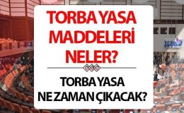 Torba Yasa ne zaman çıkacak? 2024 Torba Yasa maddeleri ile 3600 ek gösterge, taşerona kadro, Bağkur prim gün sayısı beklentisi sürüyor