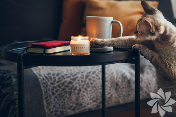 Evde yapılabilecek etkinlikler